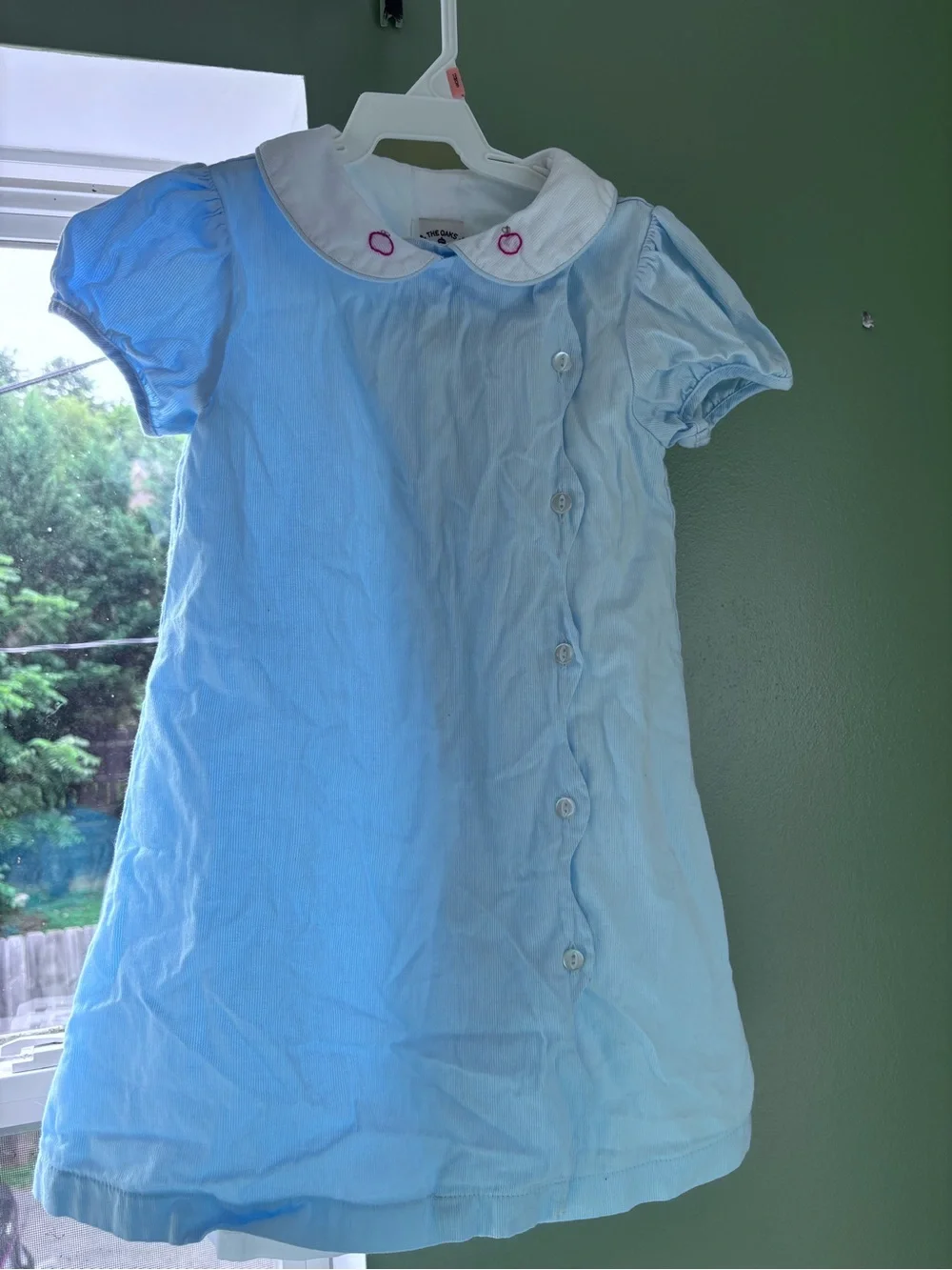 Light Blue Girls' Button-Front Dress with Peter Pan Collar